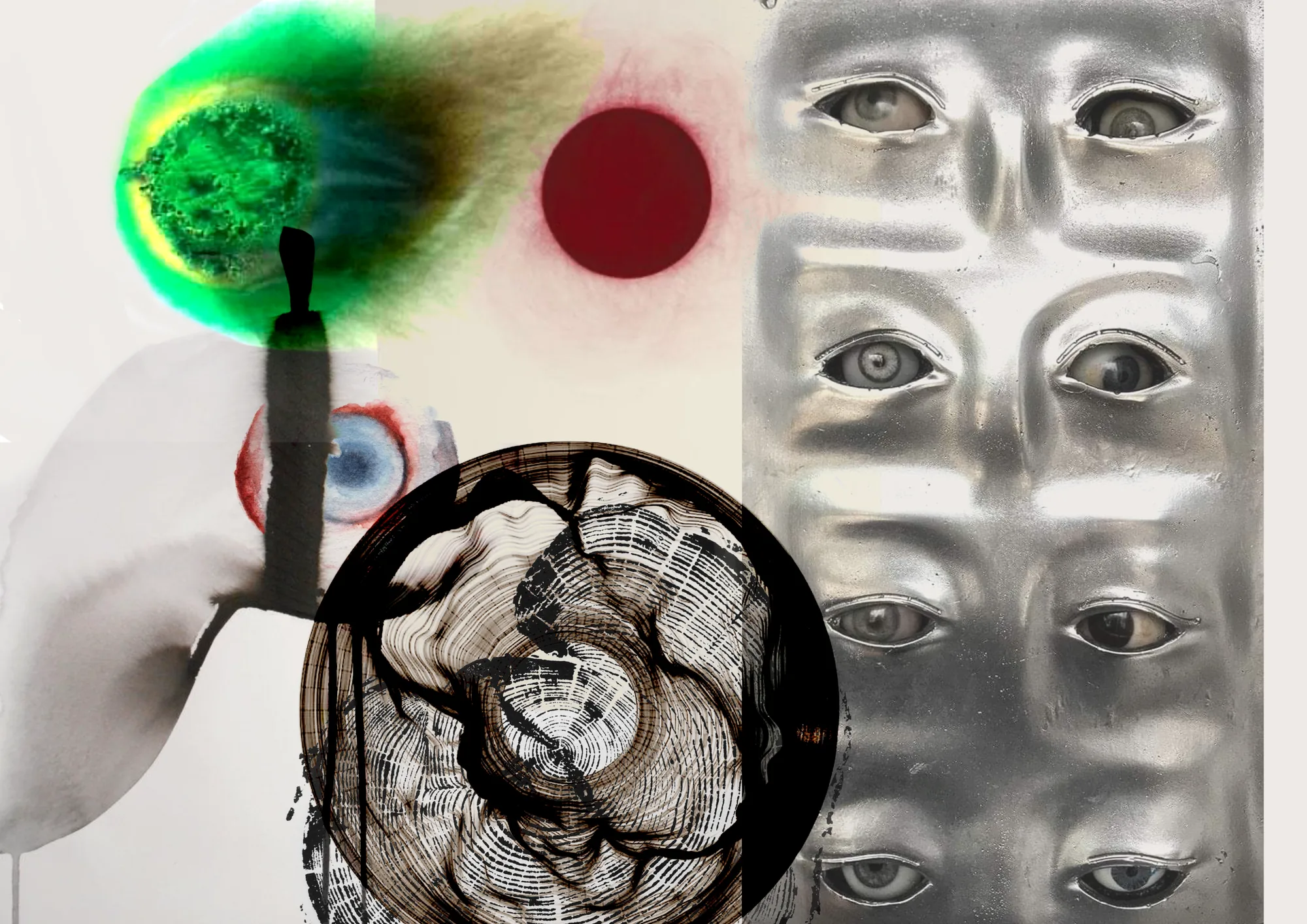 Olhos, órbita e cor.
